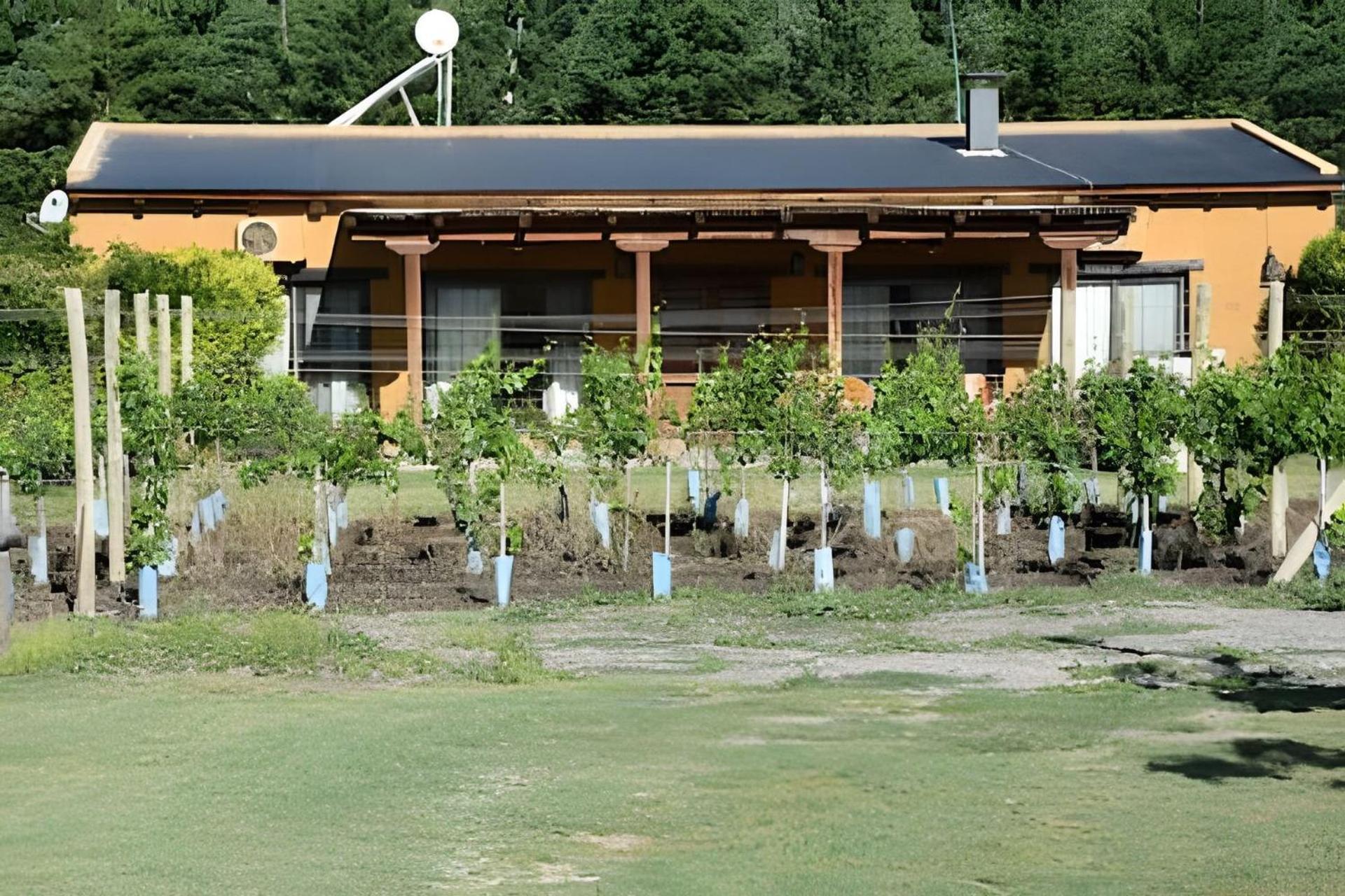 Finca Ogawa Los Sauces  Exterior photo