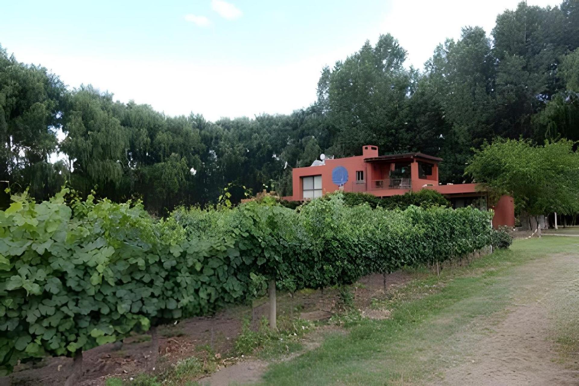 Finca Ogawa Los Sauces  Exterior photo